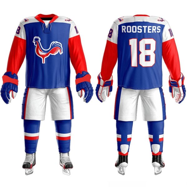 Professional ice hockey outfit for team matches and training