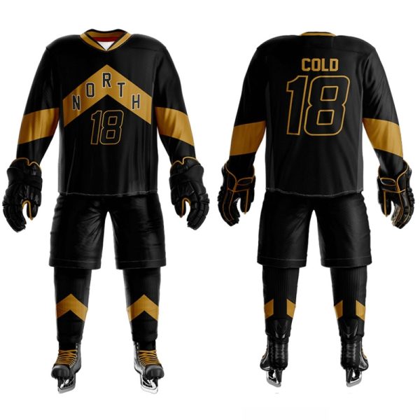 Professional ice hockey outfit for team matches and training